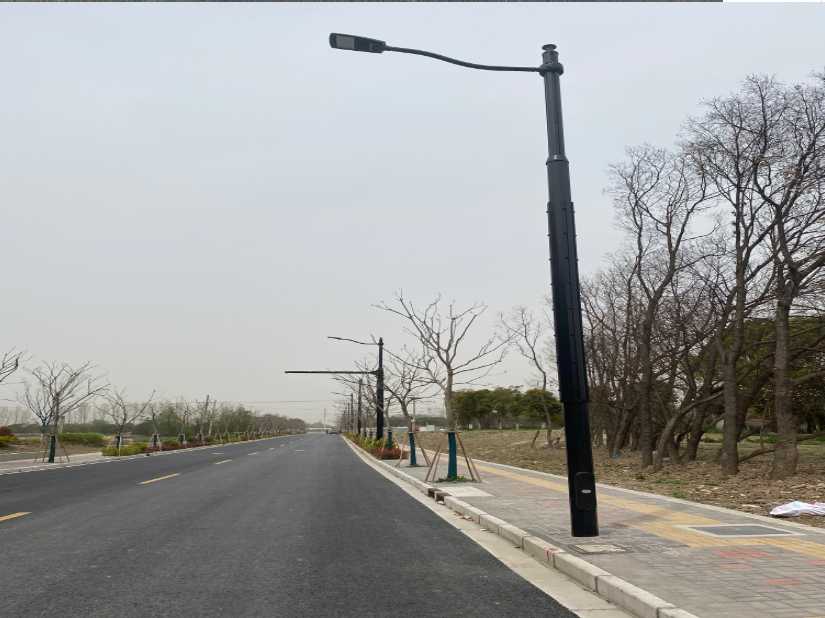 台山市上海综合杆 太阳能路灯工程